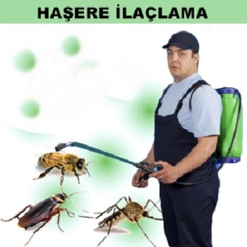 Kilis Böcek İlaçlama